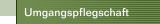 Umgangspflegschaft