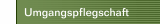 Umgangspflegschaft